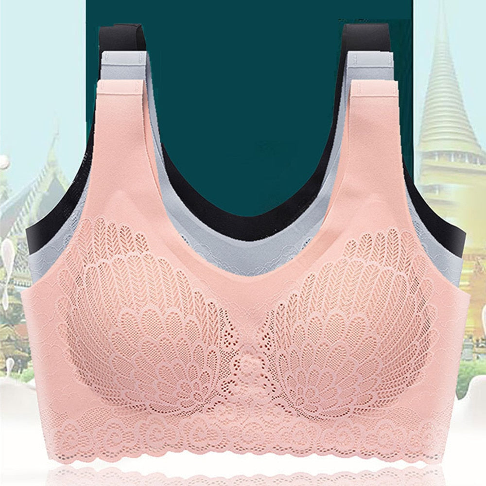 Women’s Seamless Padded Push Up Bra with Lace in 5 Colors Sizes A-D Cup - Wazzi's Wear