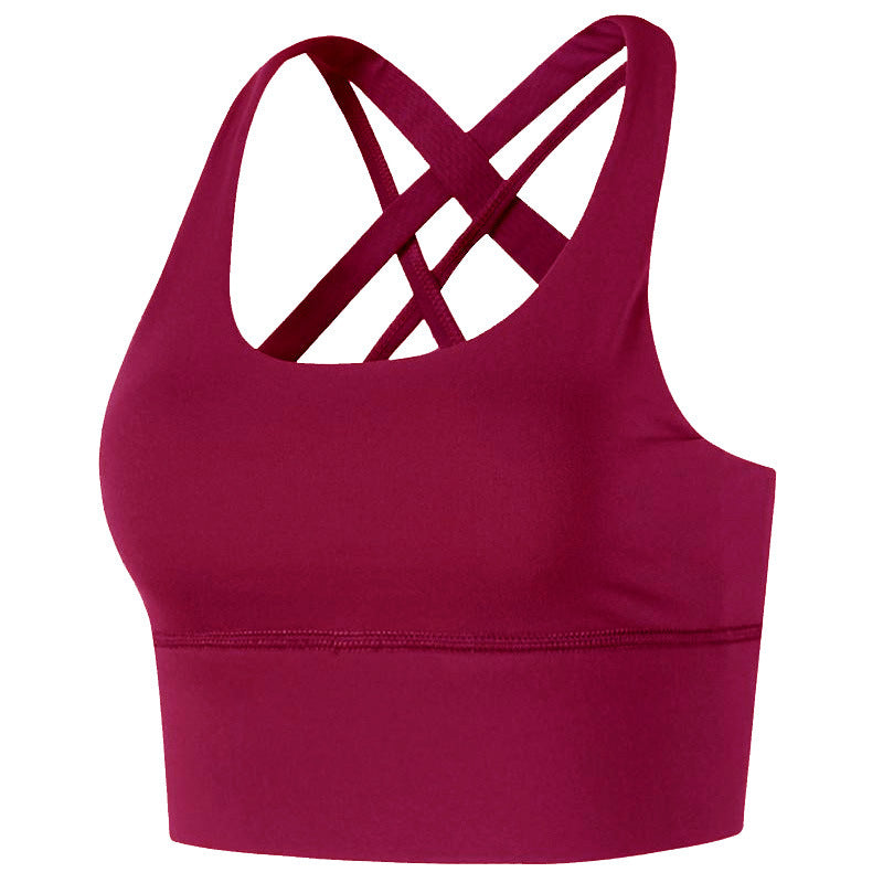 Women’s Push-Up Sports Bra in 6 Colors Sizes 2-14 - Wazzi's Wear